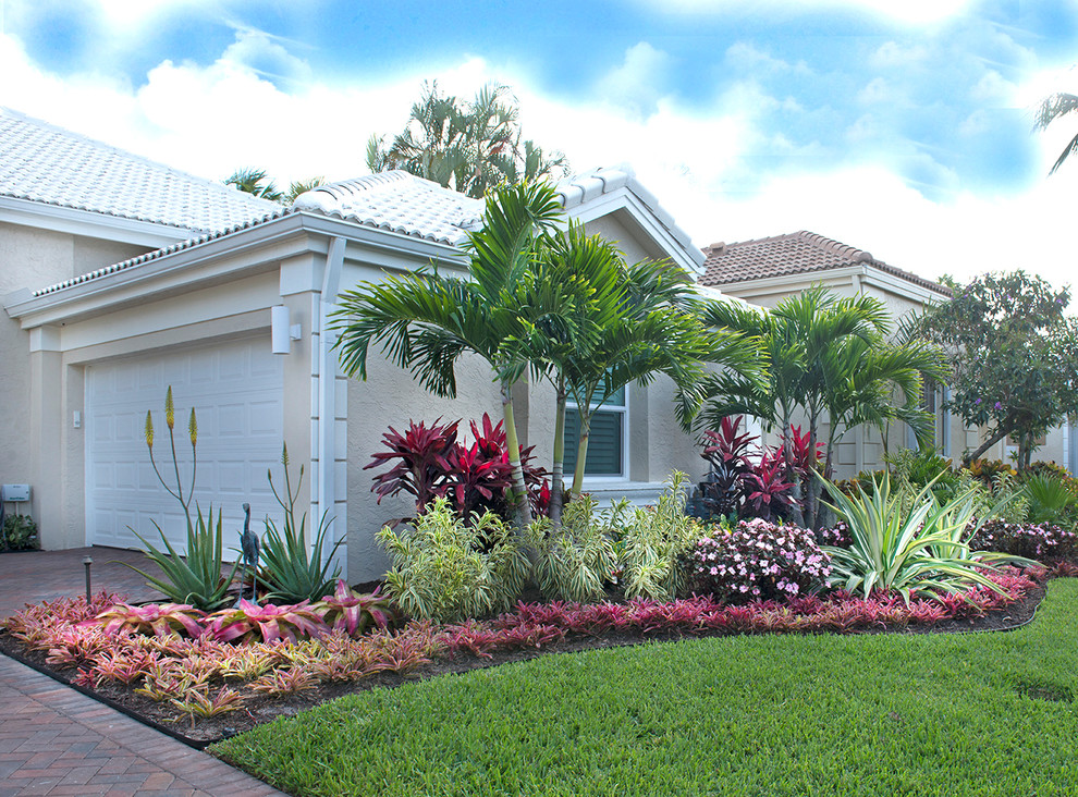 Inspiration for a small tropical front yard partial sun garden in Miami.
