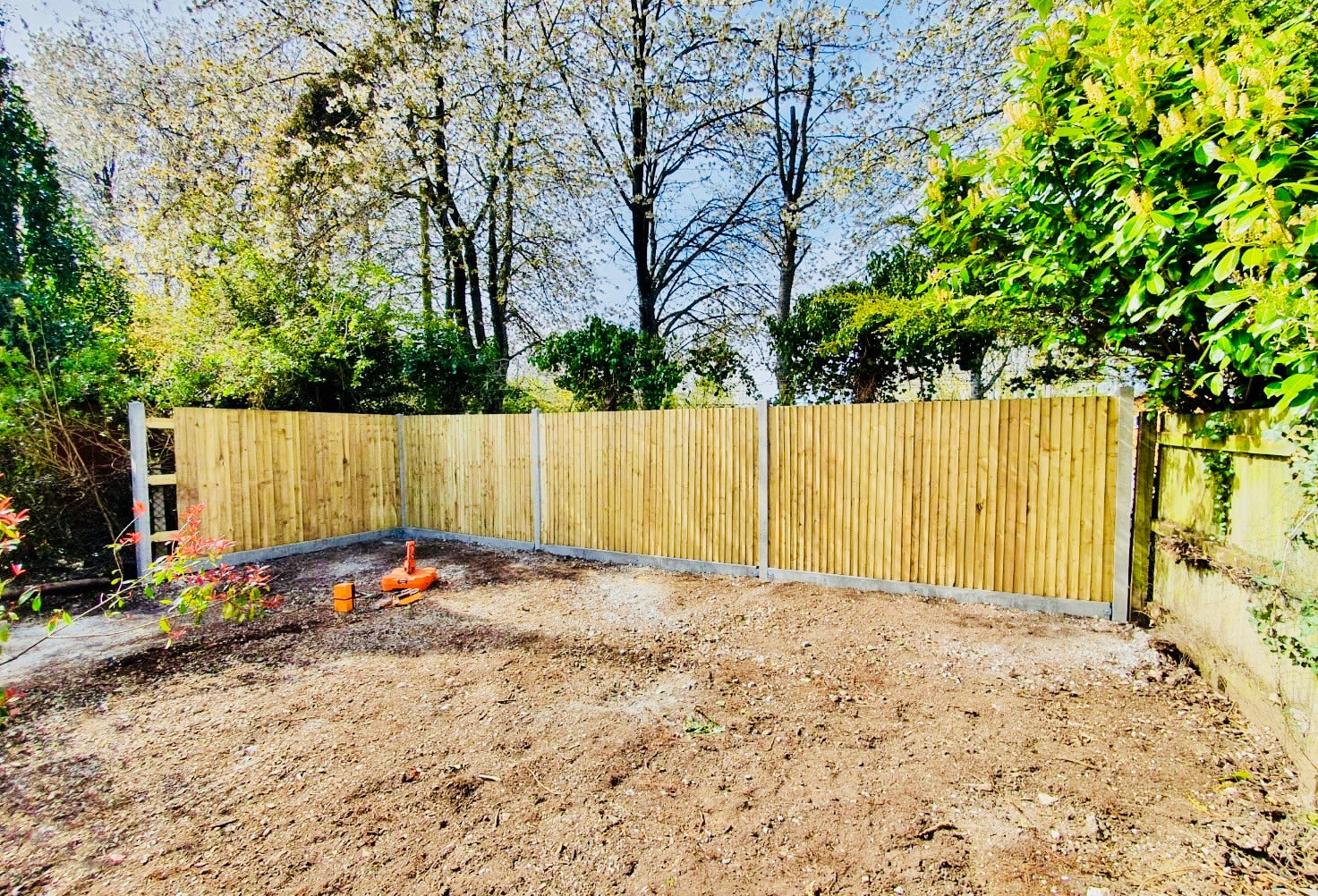Garden Screening Ideas
