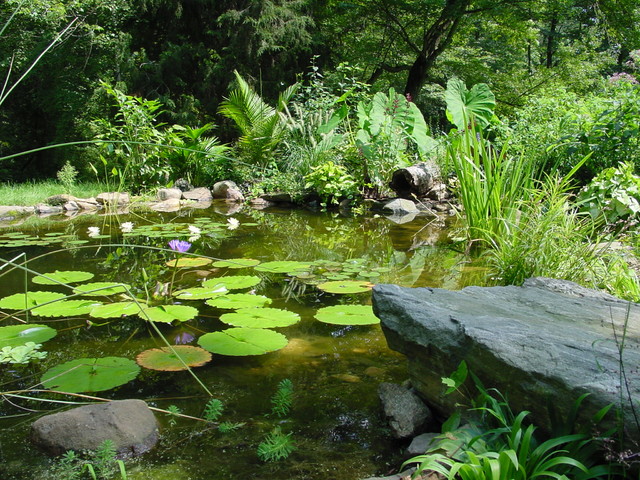 Water features/ponds/waterfalls/streams/spas traditional-landscape