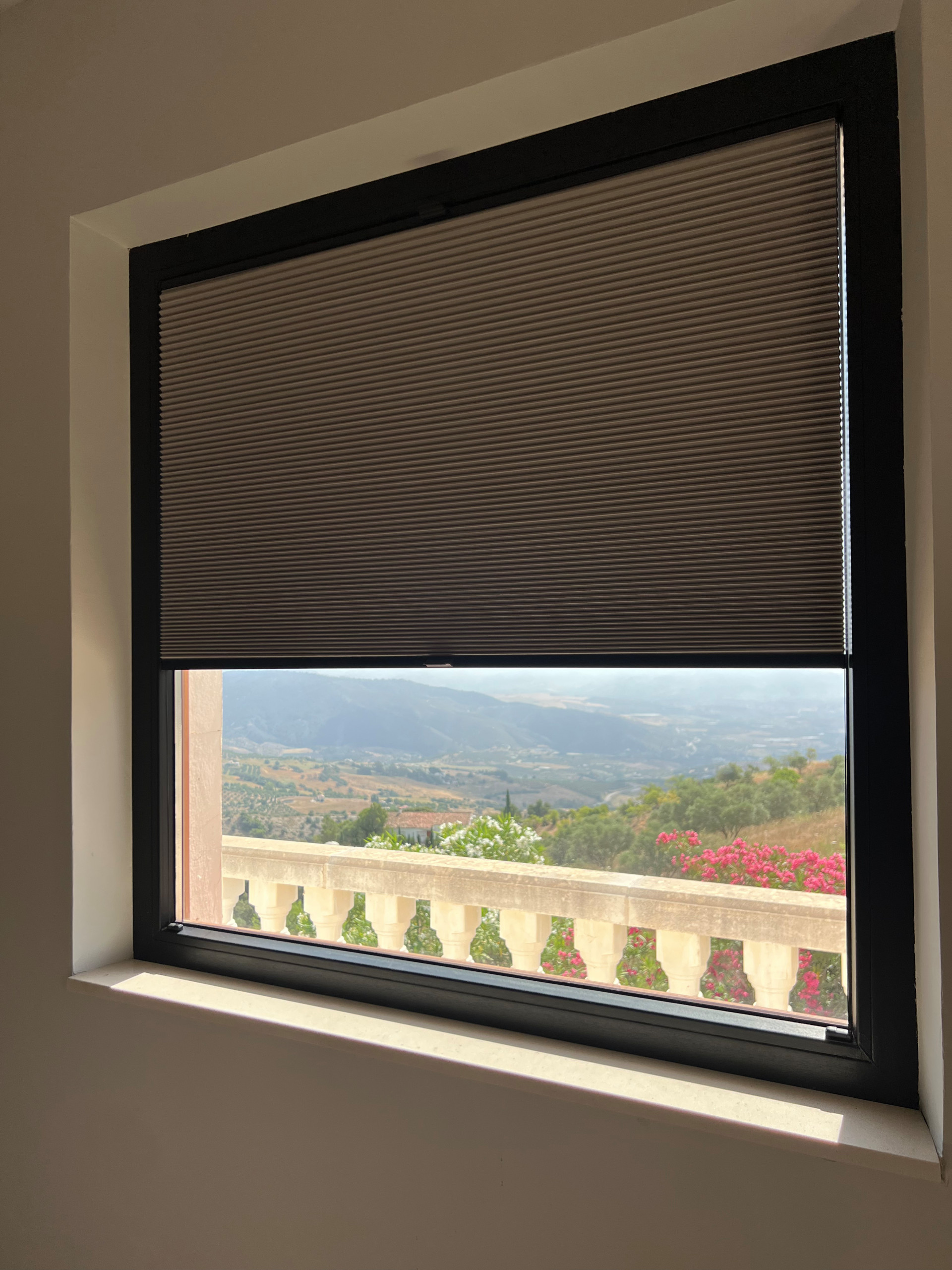 PLEATED BLINDS