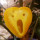 Last commented by Scotane