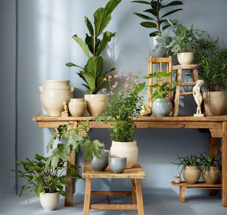 Transformer son salon en salon végétalisé - pots plantes