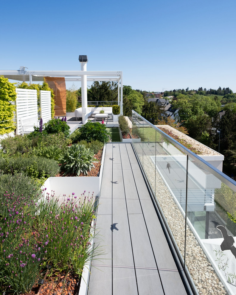 Immagine di una terrazza design sul tetto e sul tetto con un giardino in vaso, una pergola e parapetto in vetro