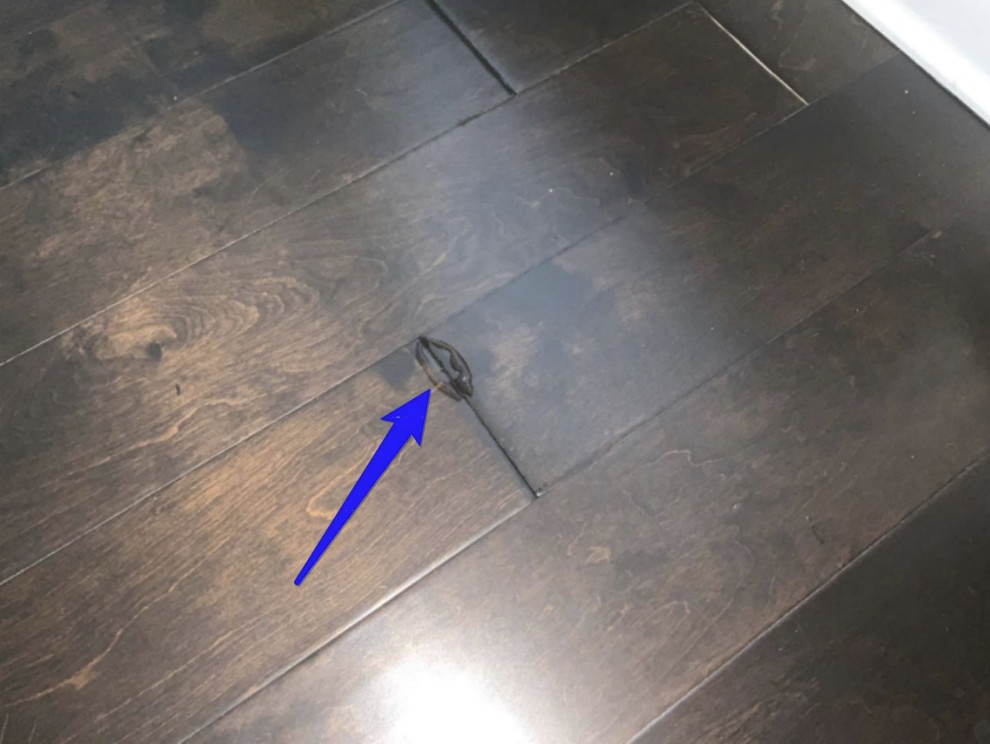 Water coming up through floorboards...