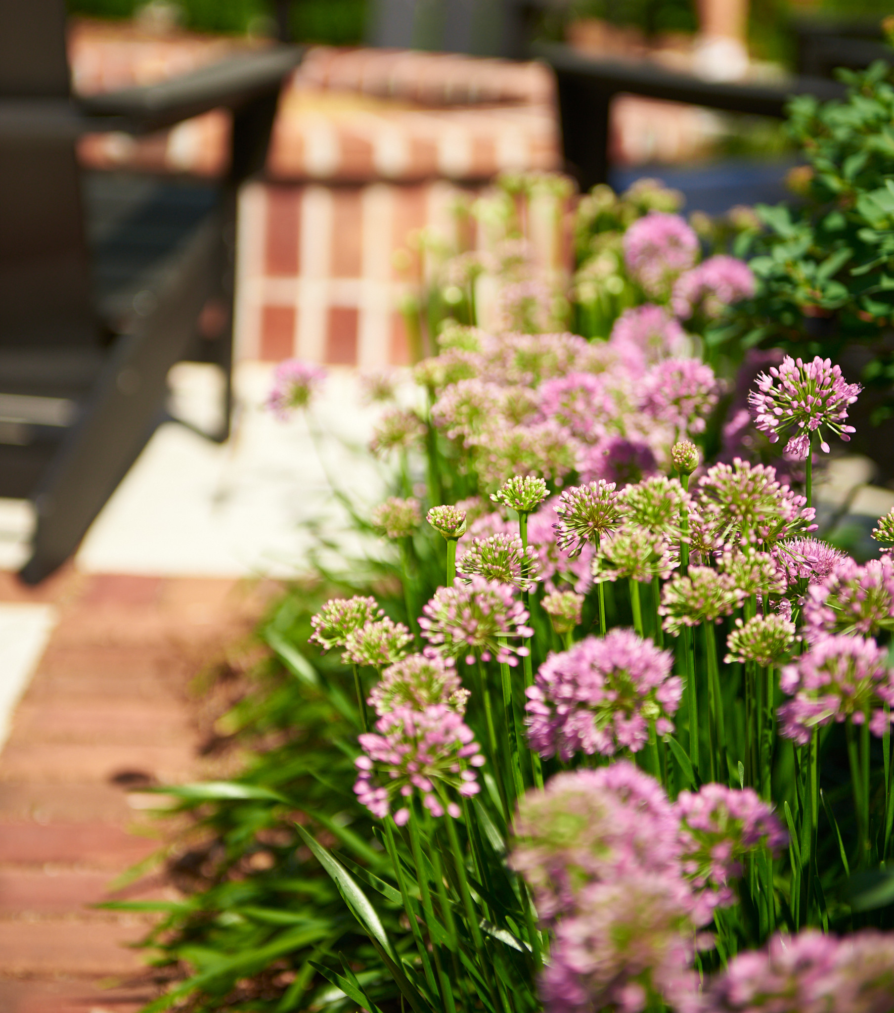 Traditional Backyard + Patio Landscape - Cedarburg, WI