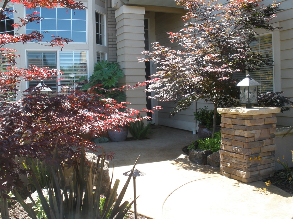 Photo of a large contemporary front yard full sun xeriscape in Sacramento with concrete pavers.