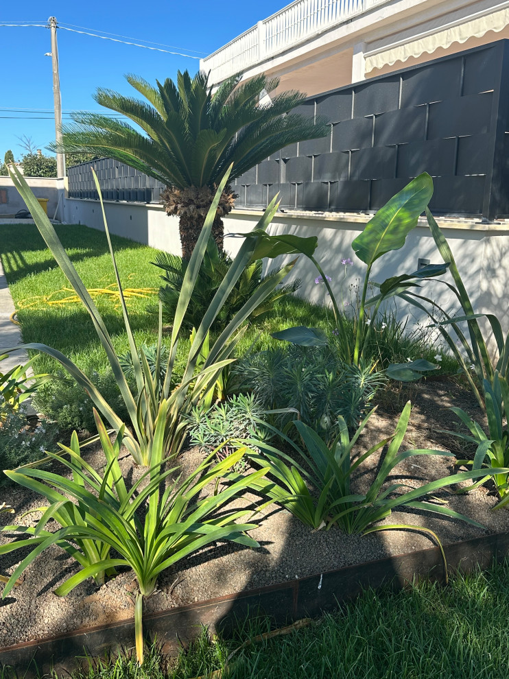 Un giardino ad Anzio