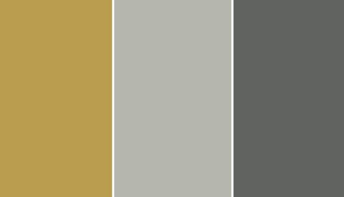 La palette di colore