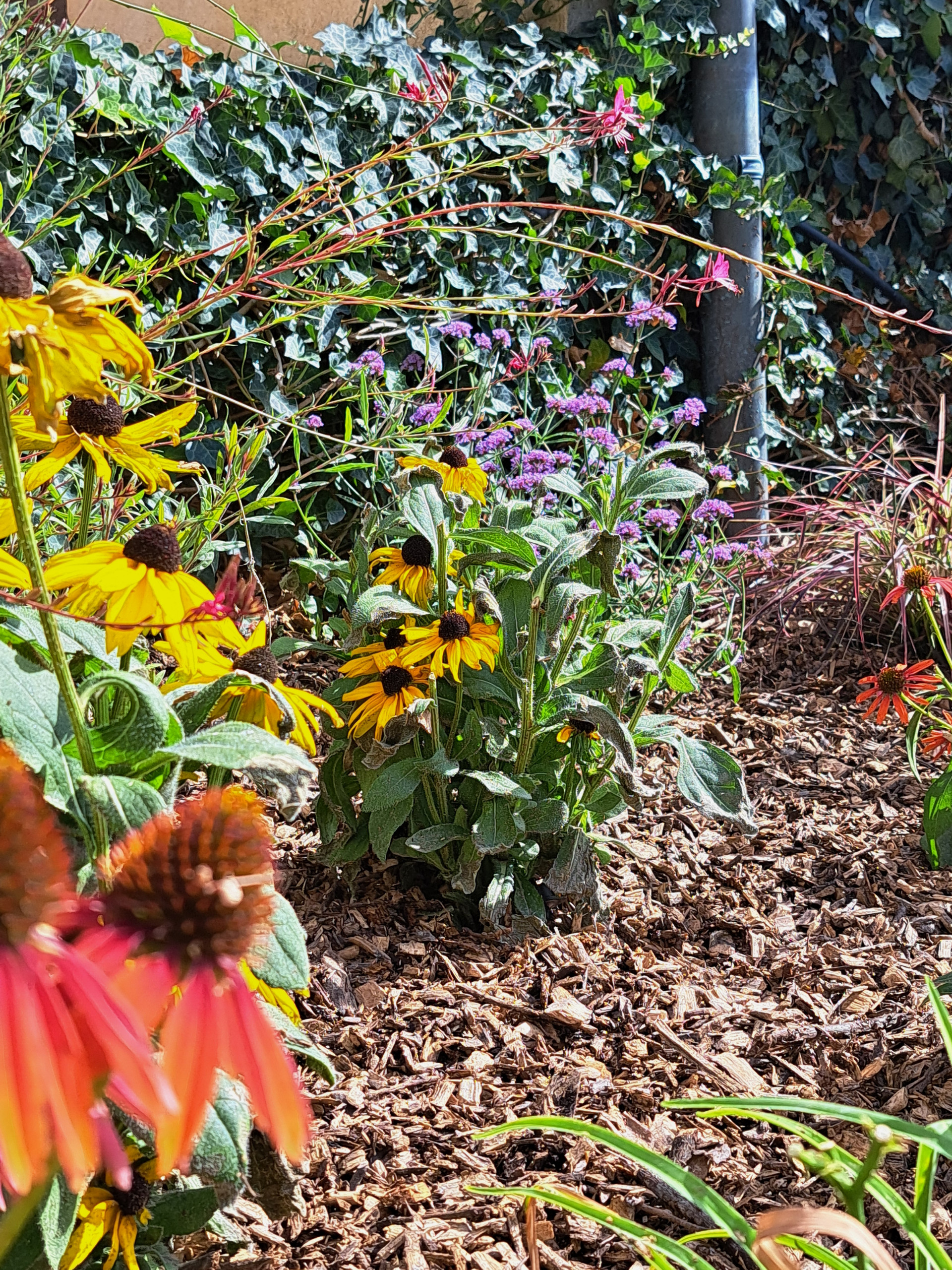 Un giardino sulle colline pavesi
