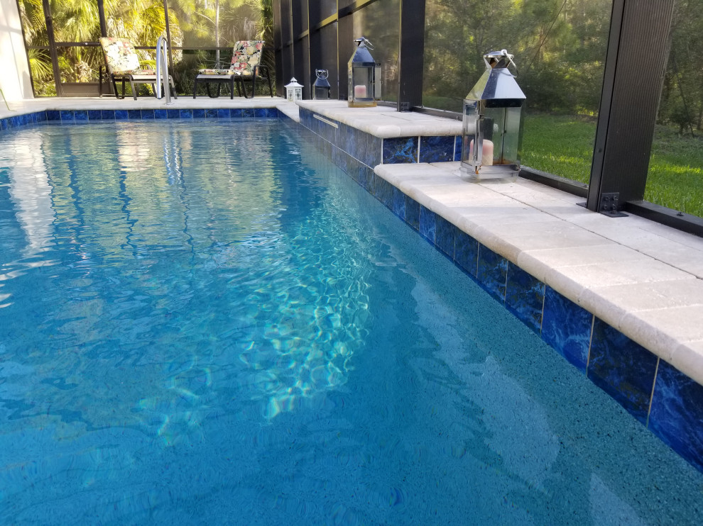 Photo of a mid-sized contemporary backyard rectangular pool in Tampa.