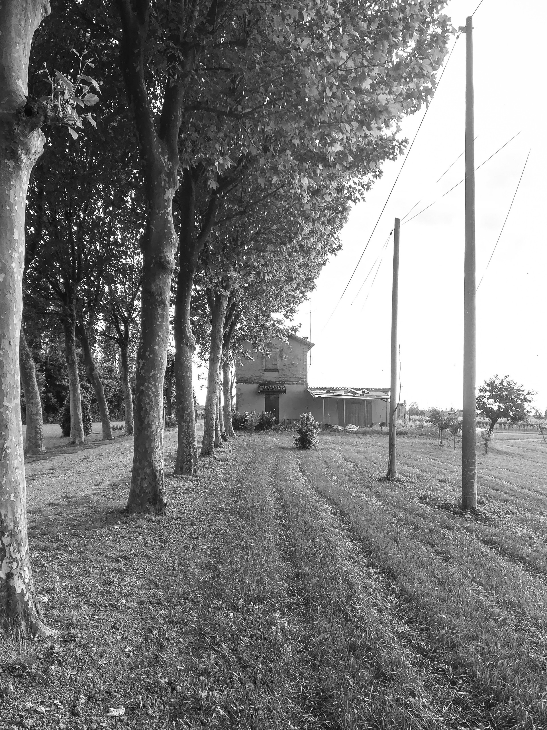 Casa BG