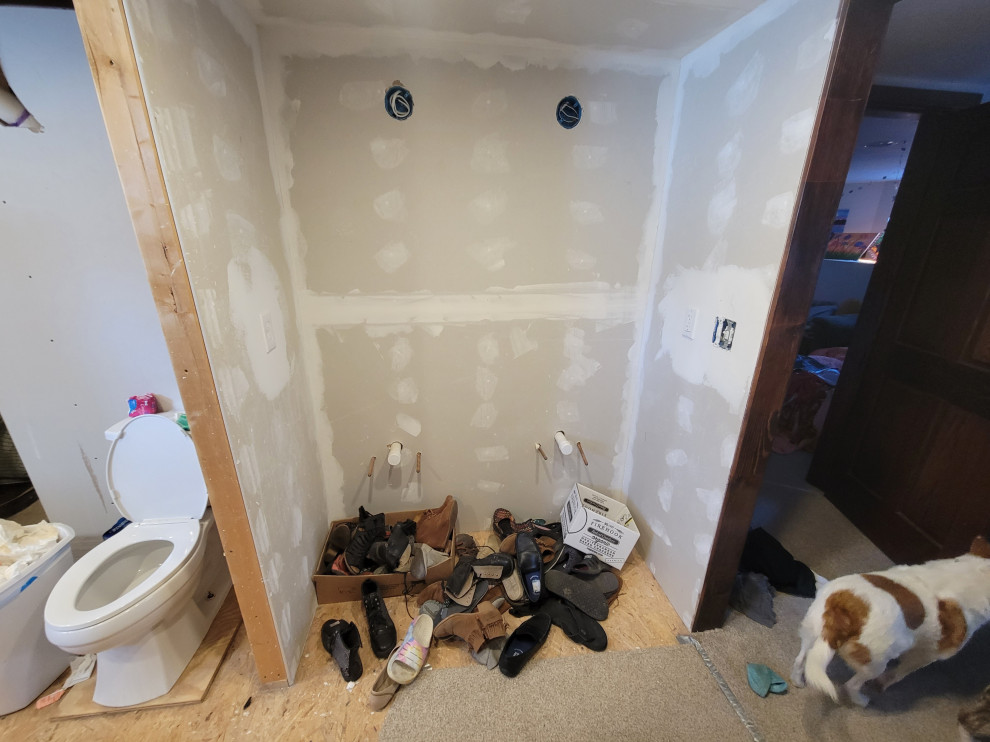 Basement Bathroom