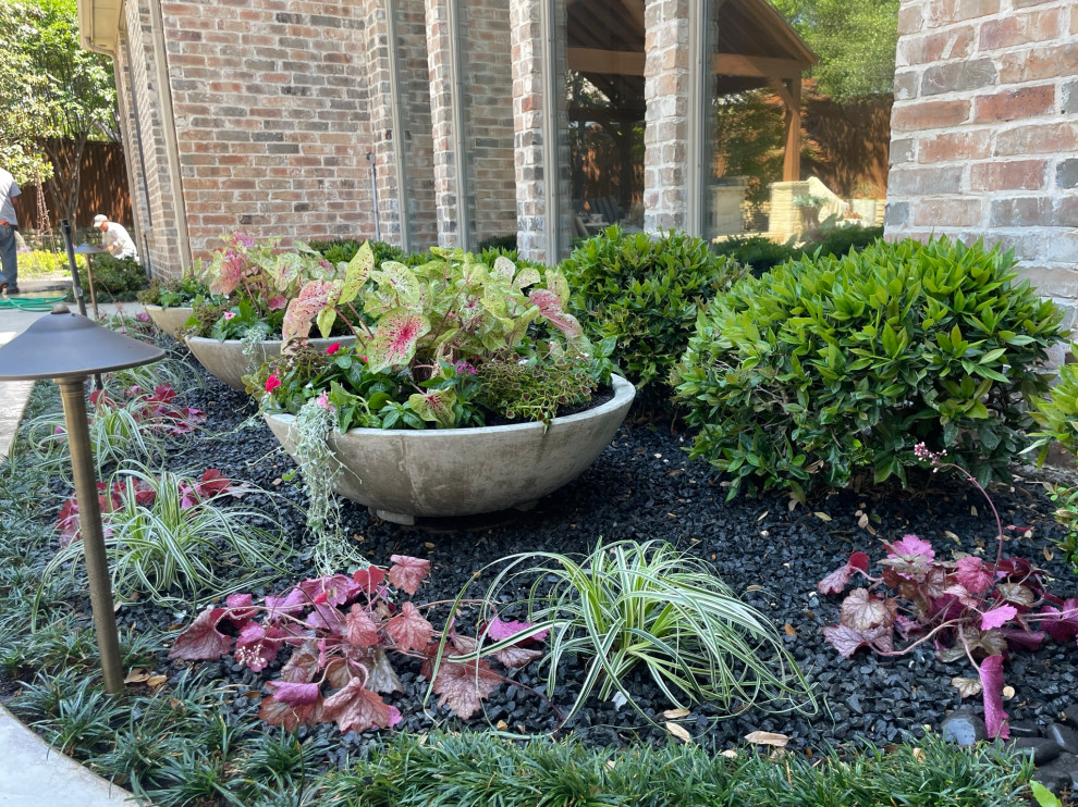 Back yard landscape