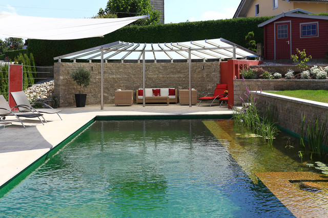 Naturpools contemporaneo-piscina