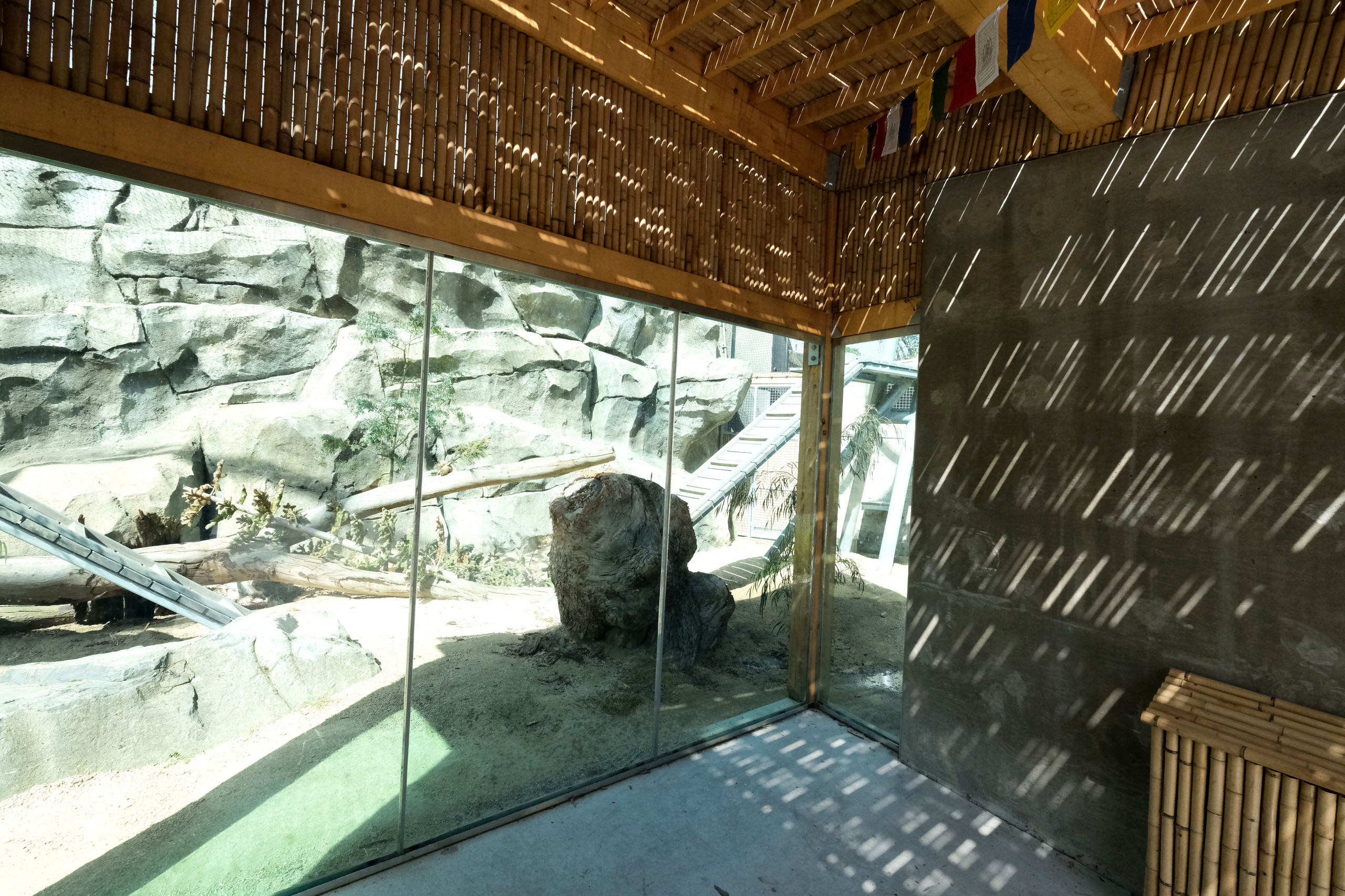 Snow Leopard Habitat