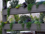 Contemporary Landscape by Living Gardens Landscape Design