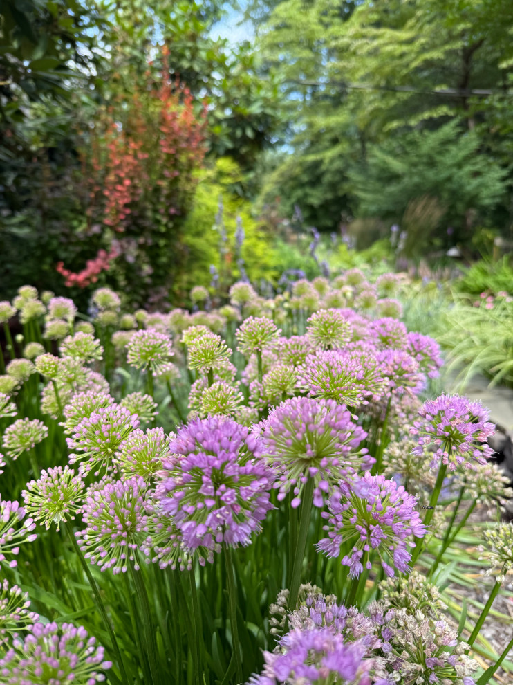 Planting Design