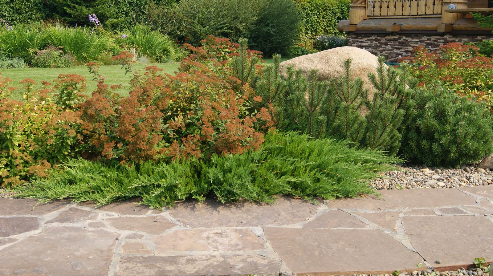 Скандинавские мотивы