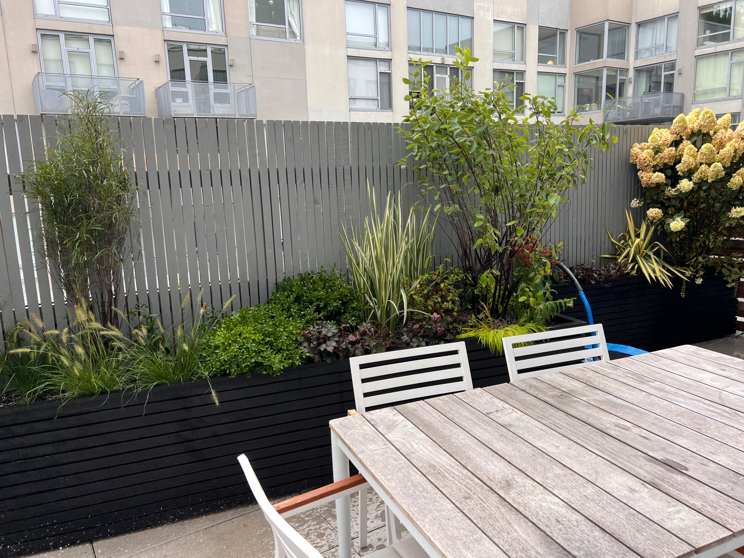 Williamsburg Kid Friendly Terrace