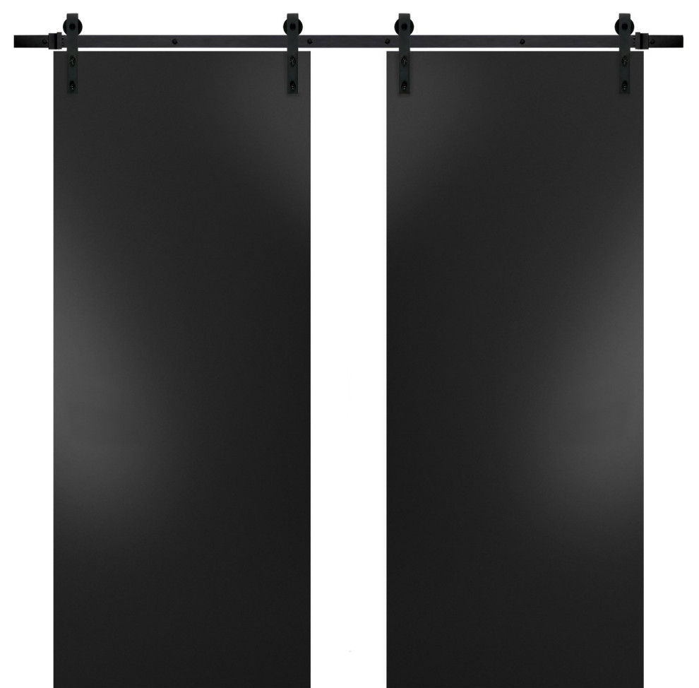 Double Barn Door & Hardware Planum 0010 Black Matte 13FT Rail, 64
