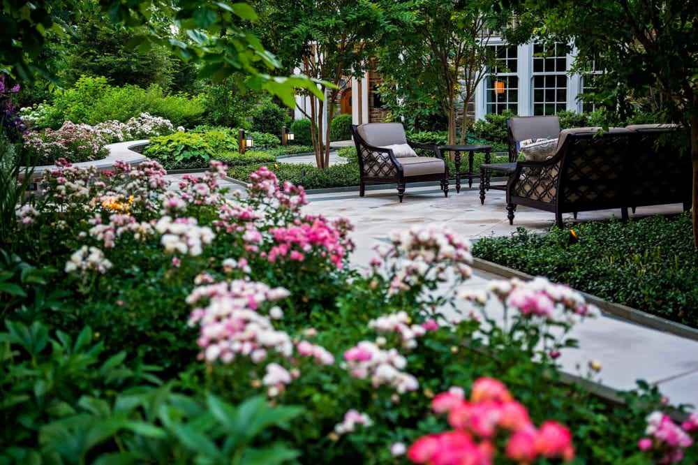 Roses Capture this outdoor patio
