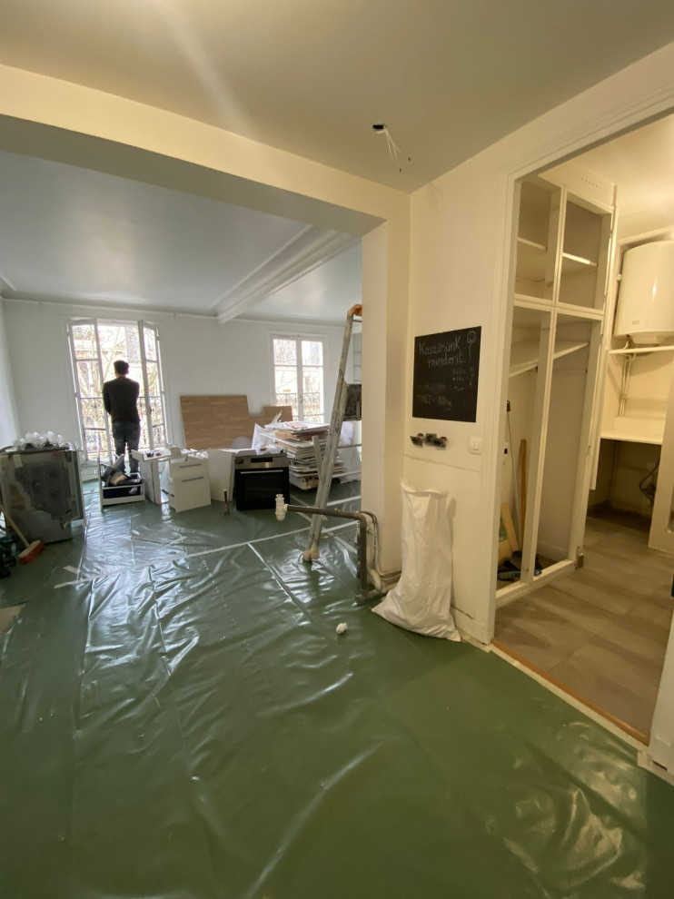 Projet Buttes Chaumont, rénovation d'un appartement de 60m2
