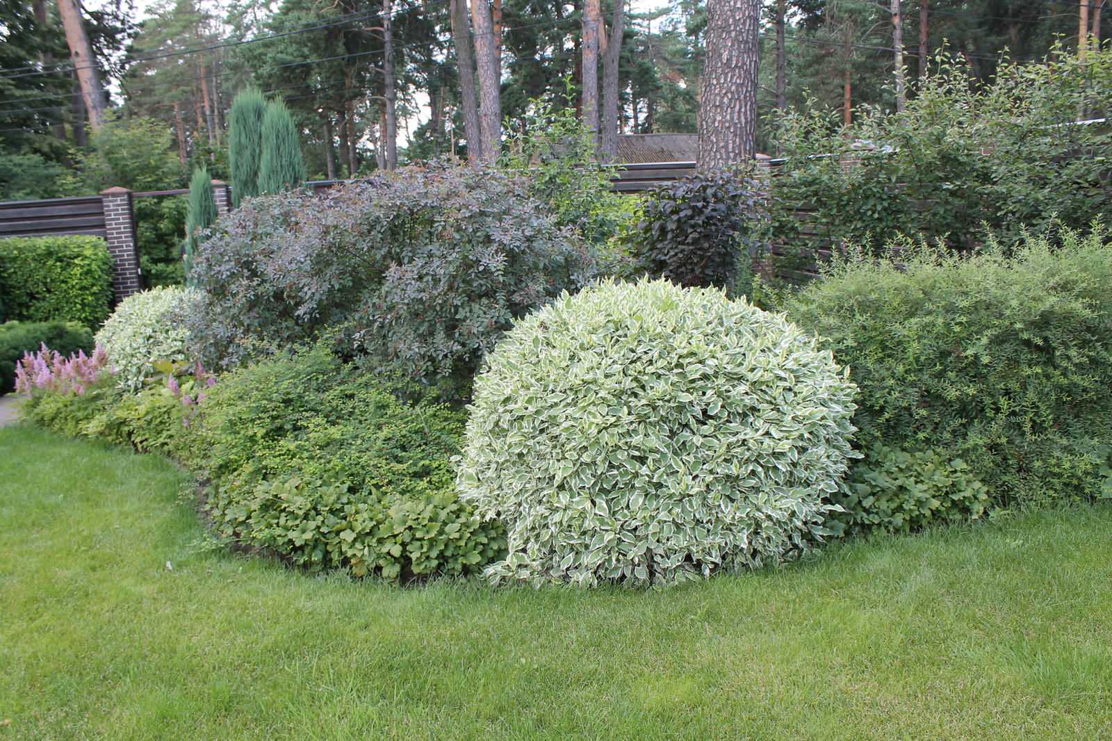 Сад в поселке Салтыковка