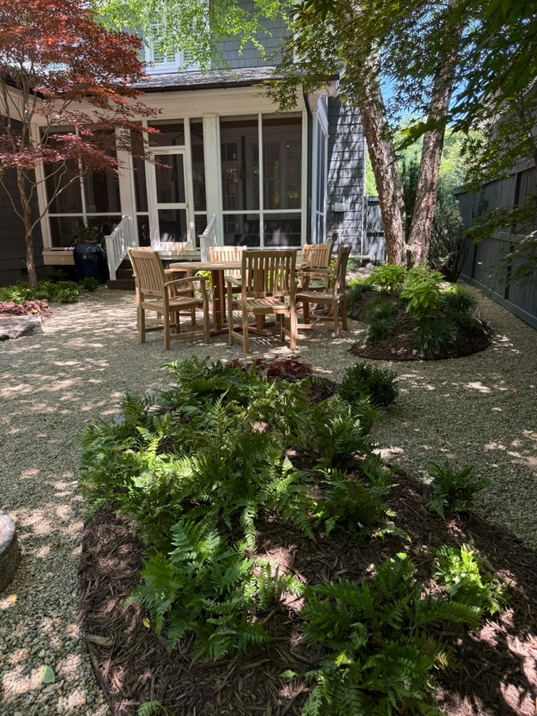 Urban Courtyard Renovation