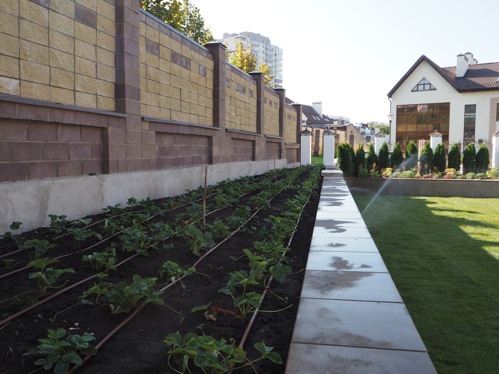 Системы полива