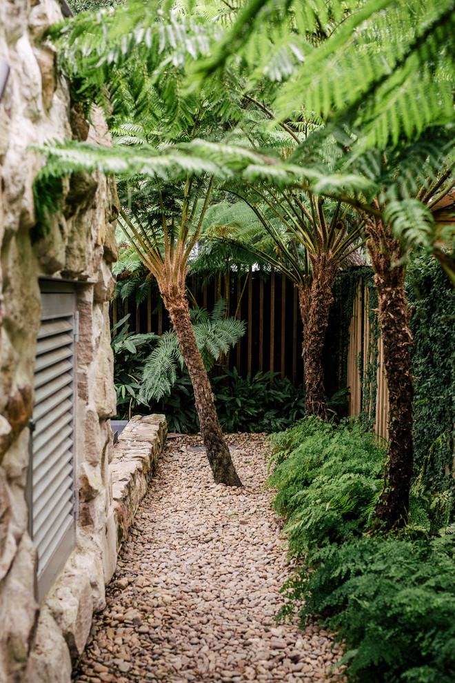 Photo of a mid-sized tropical backyard partial sun garden in Sydney.