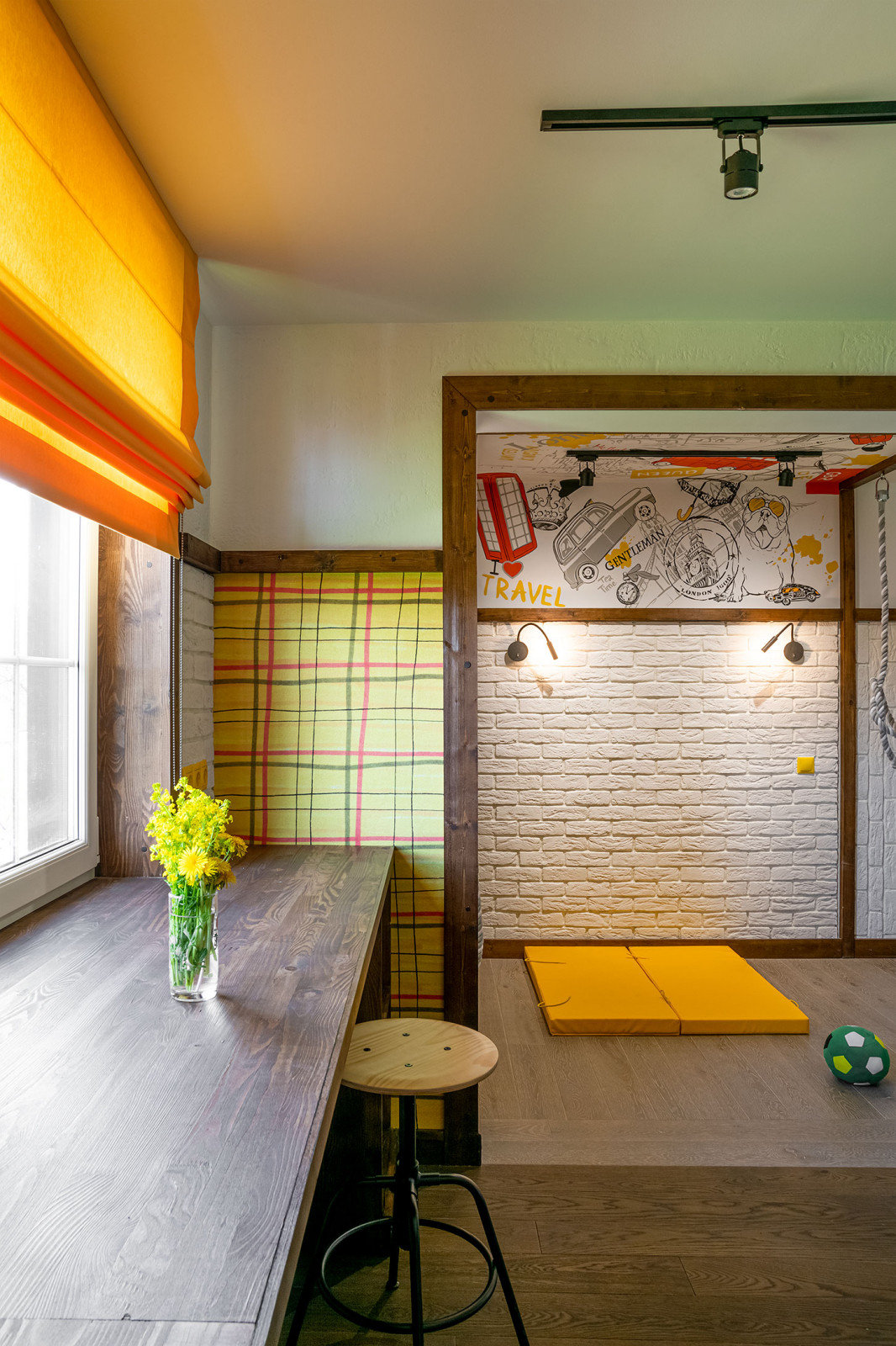 ТВ проект. Фазенда.