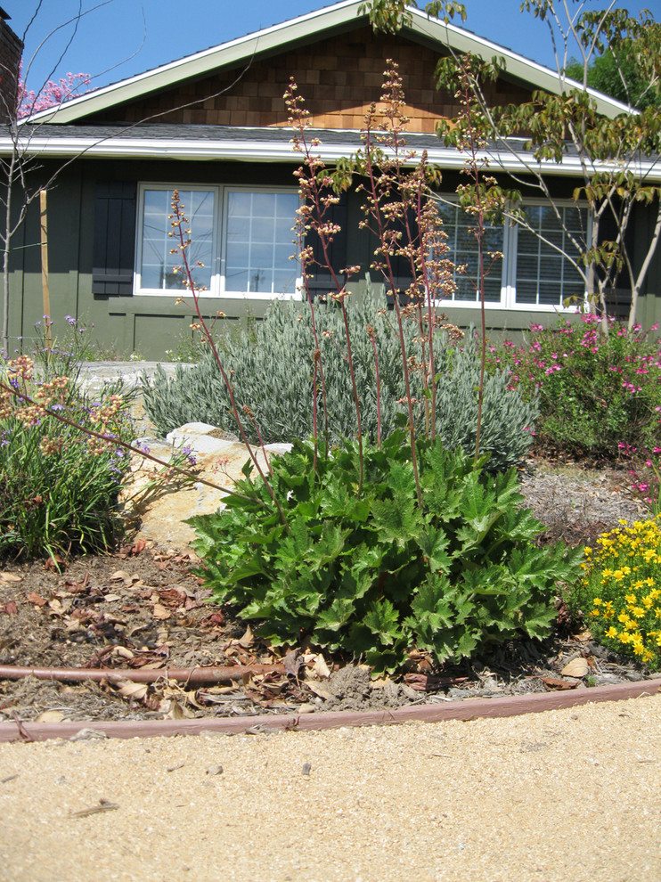 Tustin California Native/Friendly Front Yard ...