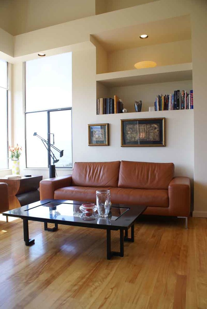 Design ideas for a contemporary living room in San Luis Obispo.