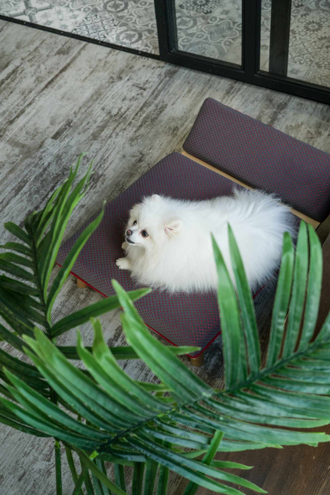 Авторская мебель для животных. Модель SONO-R