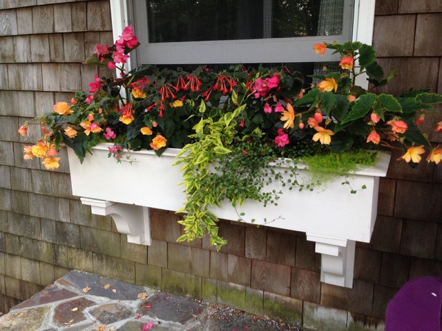 Window Box Planting Ideas For 4 Seasons Of Interest