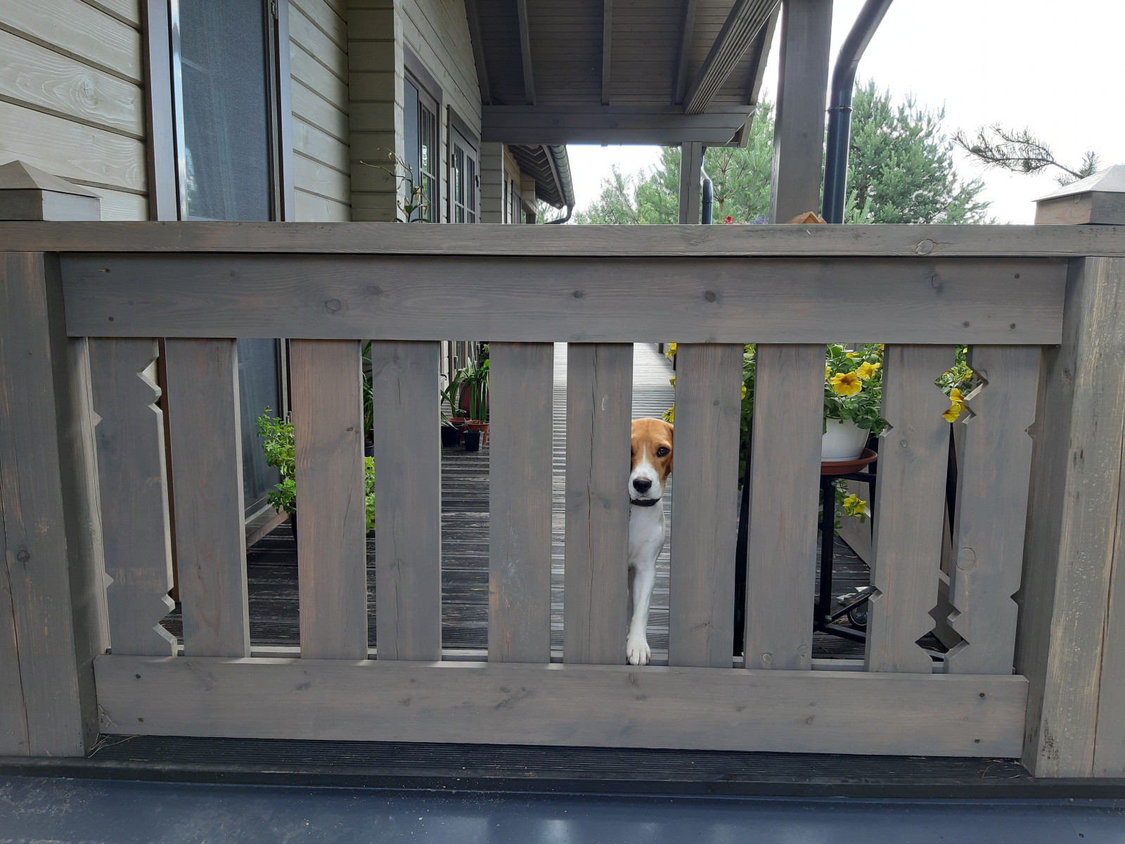 Дом из бруса в стиле шале.