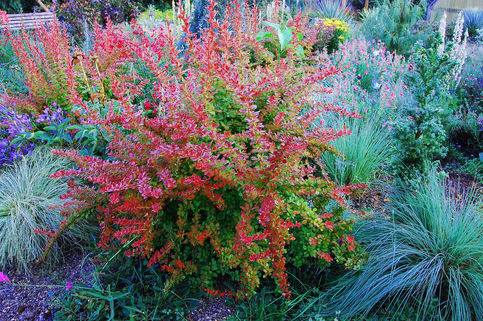 This is an example of a mid-sized eclectic landscaping in Grand Rapids.