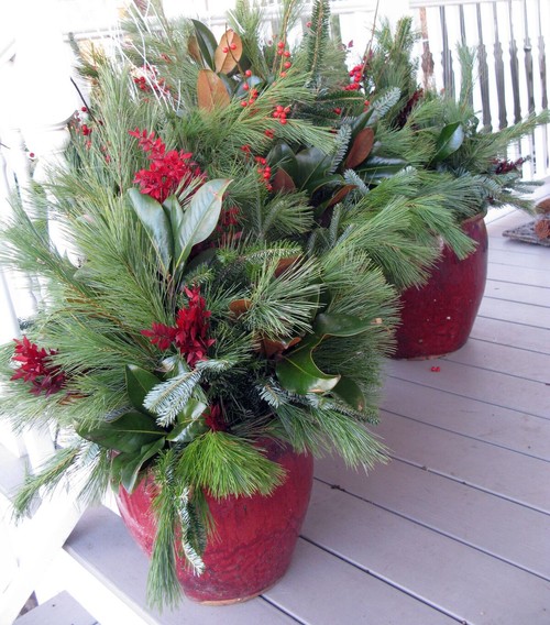 Winter Container Plantings, Holidays At Home