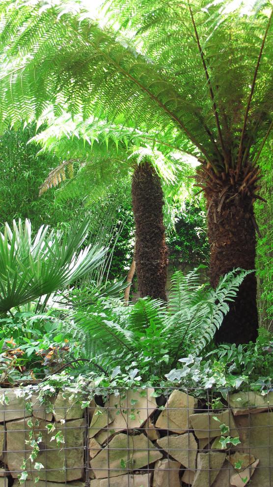 Idee per un piccolo giardino tropicale