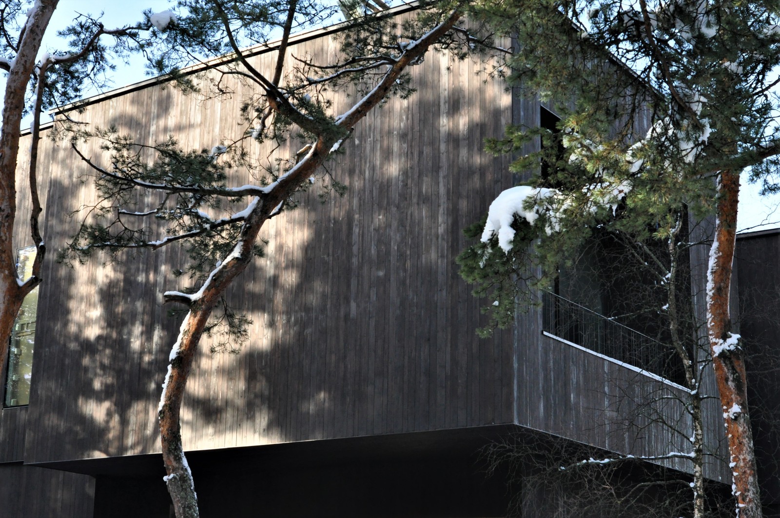 Shou Sugi Ban. Фасадная обожженная доска от Suntan WOOD.