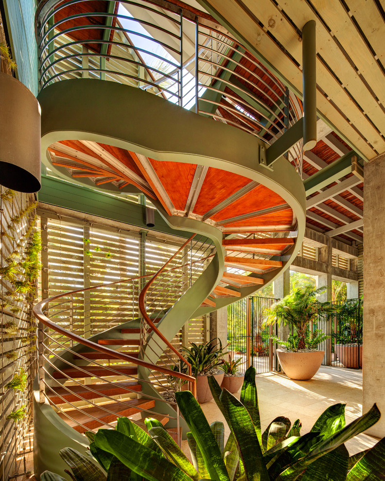 Inspiration for a mid-sized tropical courtyard deck in Tampa with a container garden.