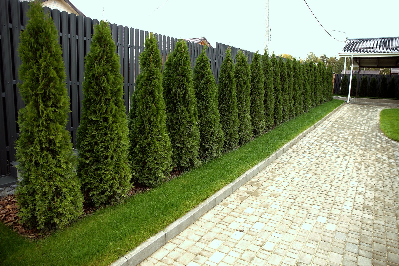 Ландшафтный дизайн сада в поселке "Олимп"