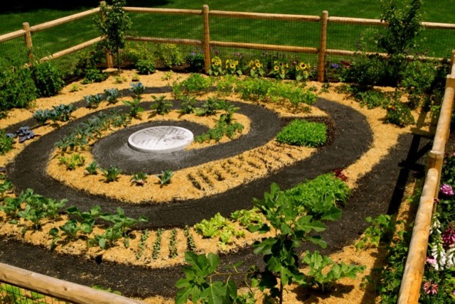 Design ideas for a mid-sized contemporary full sun backyard vegetable garden landscape in Providence for summer.