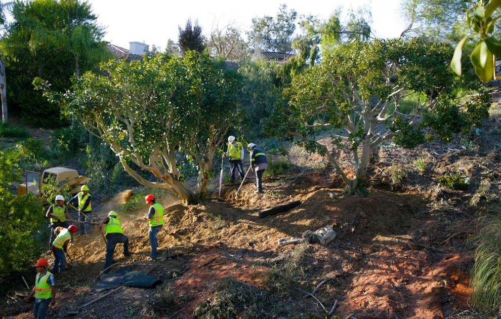Design ideas for a tropical landscaping in San Diego.