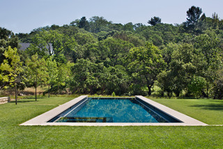 Meadow Creek Residence - Contemporary - Pool - San Francisco - by