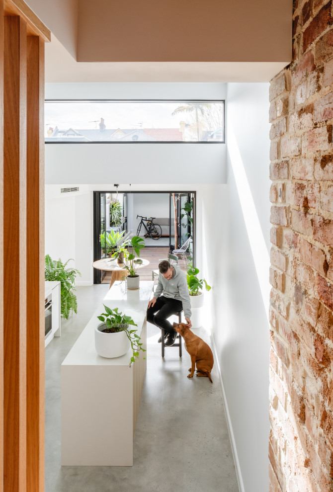 Moderne Treppe in Sydney