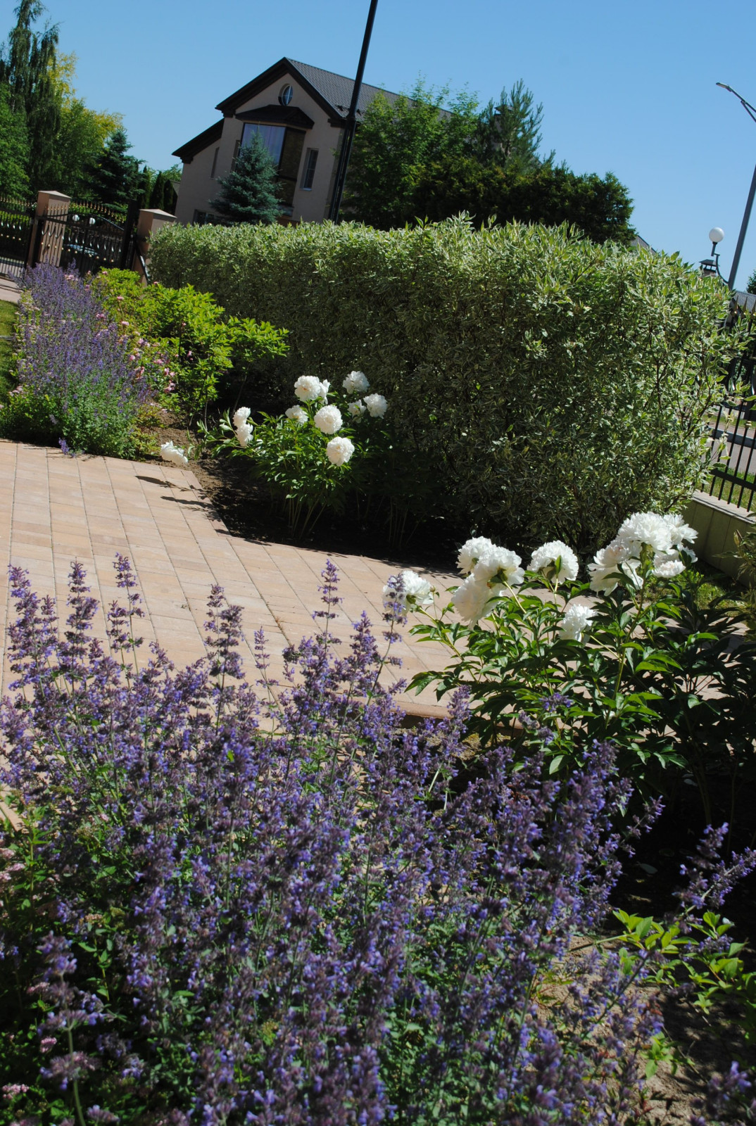 КП Зеленый мыс