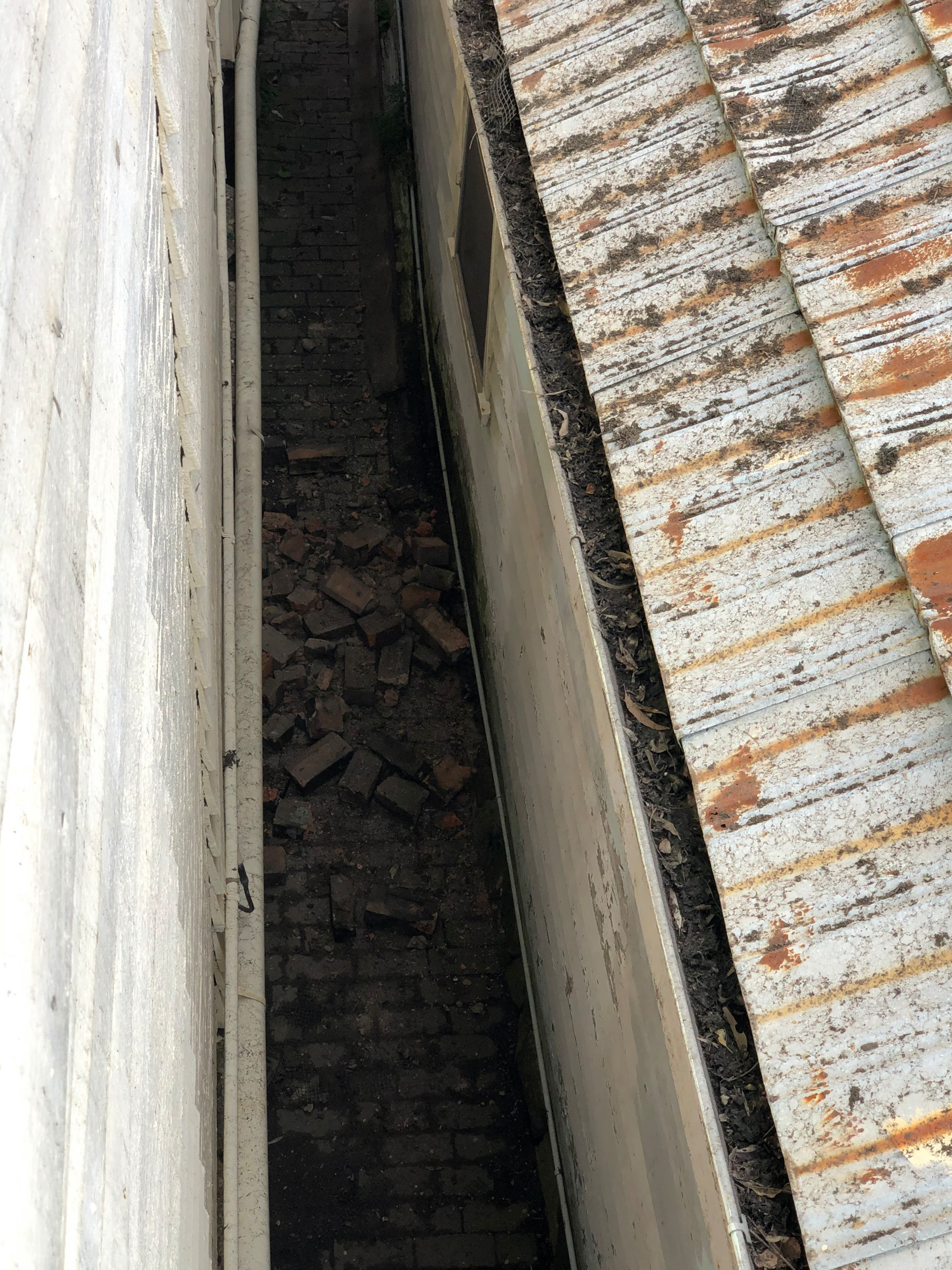 RESTORATION OF A HISTORIC BALMAIN HOME