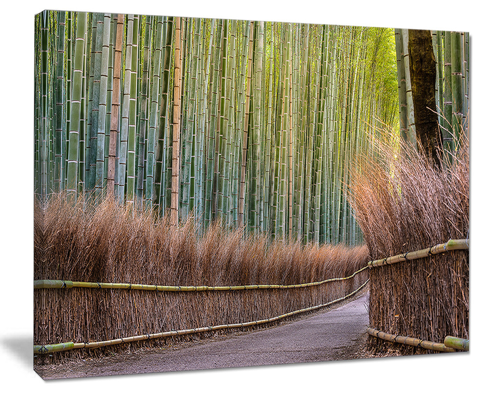 "Pathway Inside Bamboo Forest" Forest Canvas Wall Art Print, 20"x12" Asian Prints And