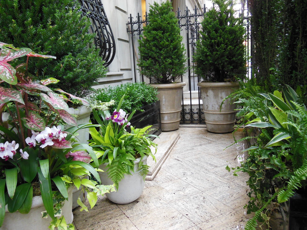 Design ideas for a tropical landscaping in New York.